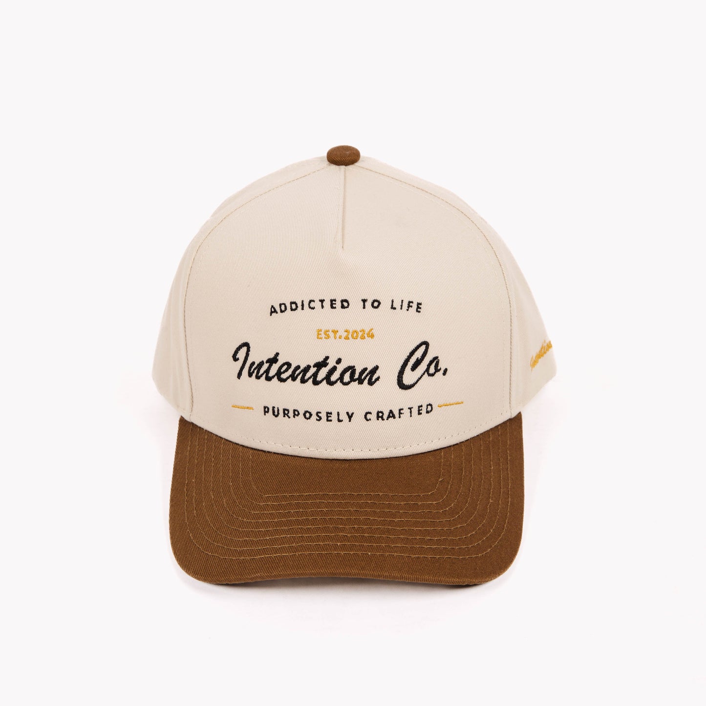 Addicted to Life - Snapback Hat