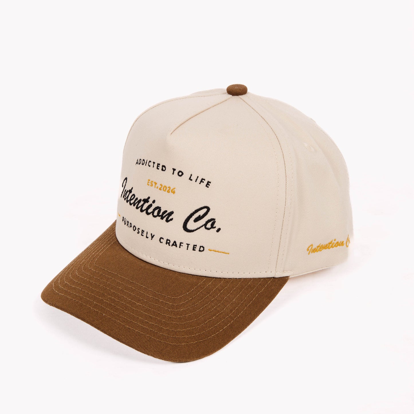 Addicted to Life - Snapback Hat