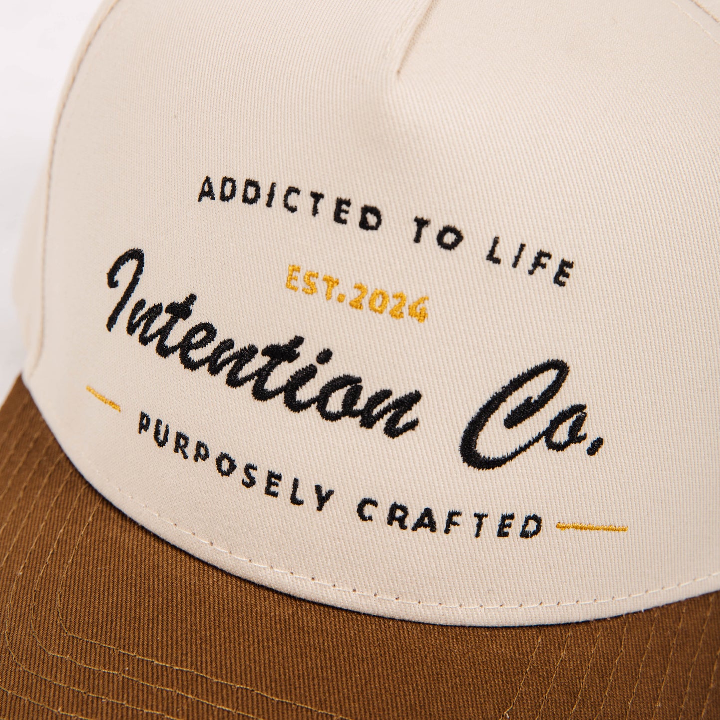Addicted to Life - Snapback Hat